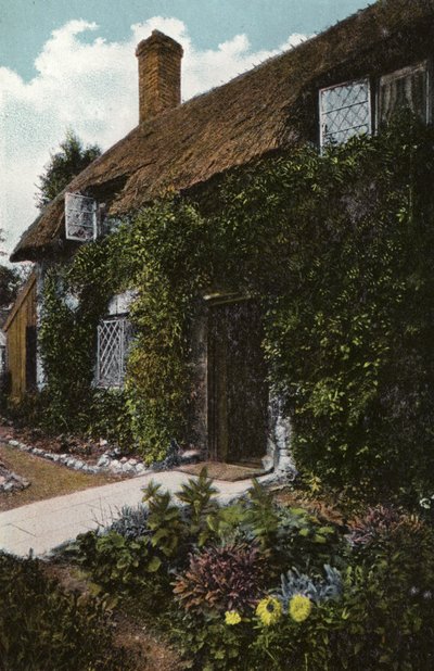 Little Janes Cottage, Brading door English Photographer